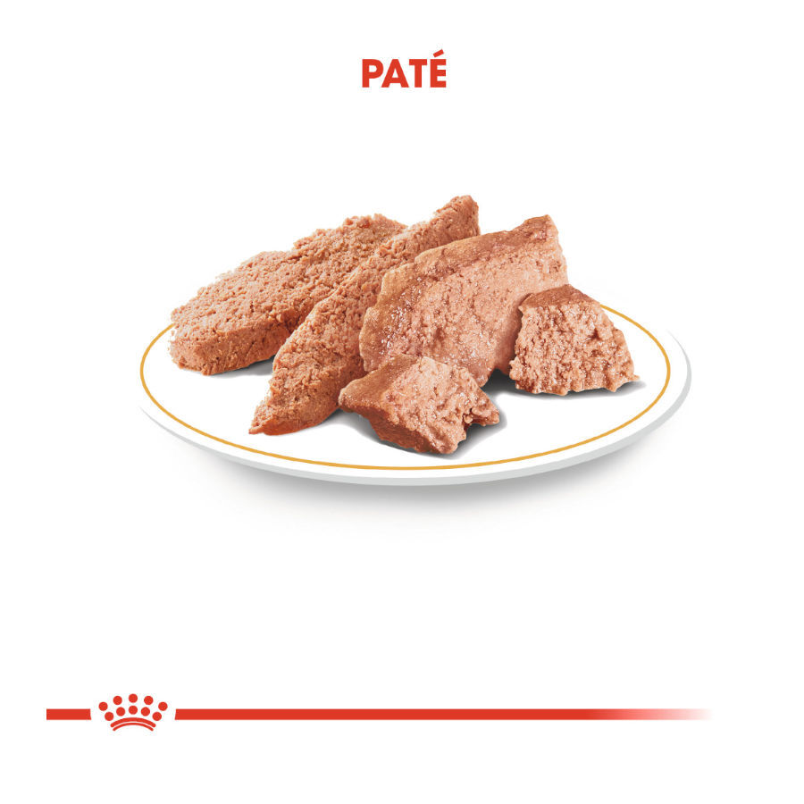 85 g Royal Canin Yorkshire Terrier sobre para perros , , large Imagen numero 5